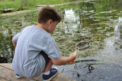 boy catching bugs with net in pond