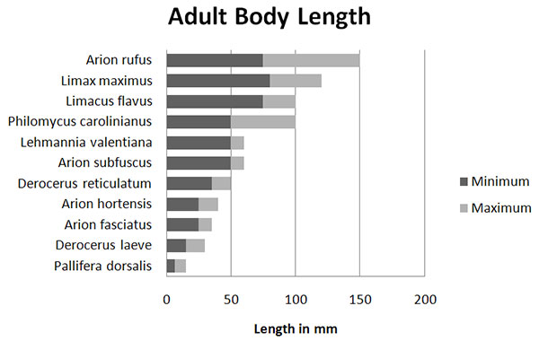 adult_body_length_chart.jpg