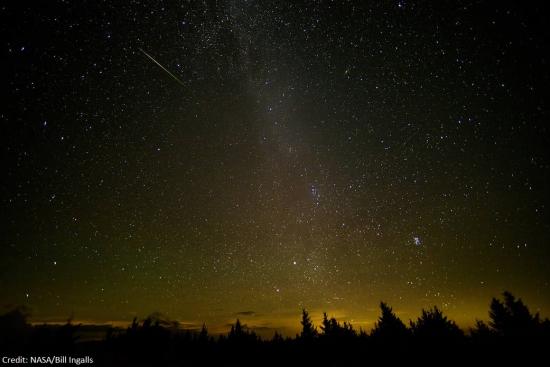 perseids