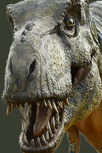 trex