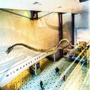 plesiosaurus hanging in museum atrium