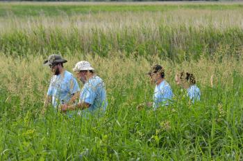 scientists in field