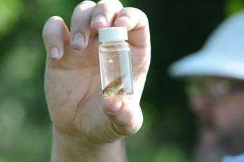 fish in jar