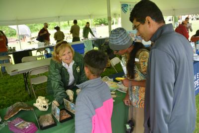 kids learning about skulls