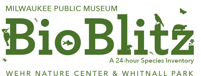 BioBlitz logo