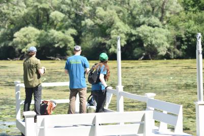 people standing on deck next to pond