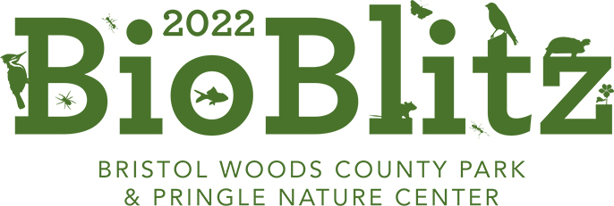 BioBlitz2022_logo_green_686.jpg