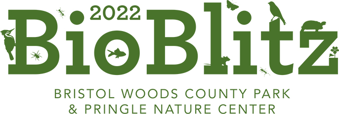 BioBlitz logo