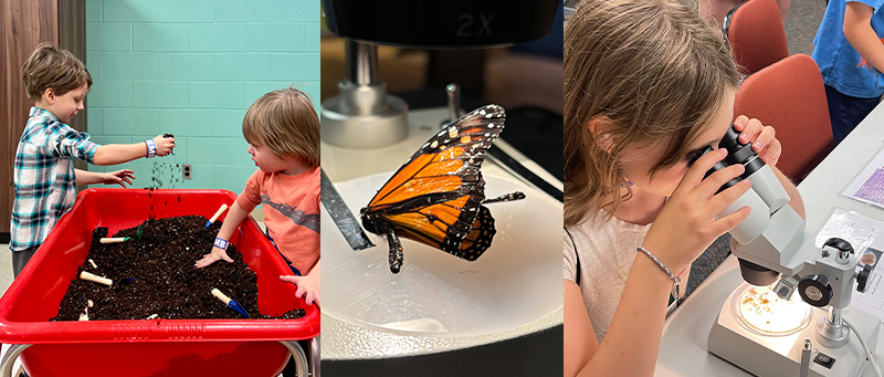 BioBlitz at MPM