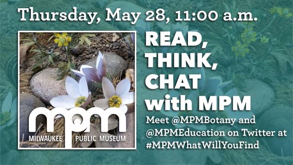 read, think, chat with MPM