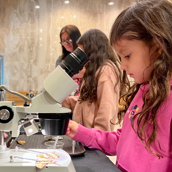 Girl looking at educators table with microscope nearby