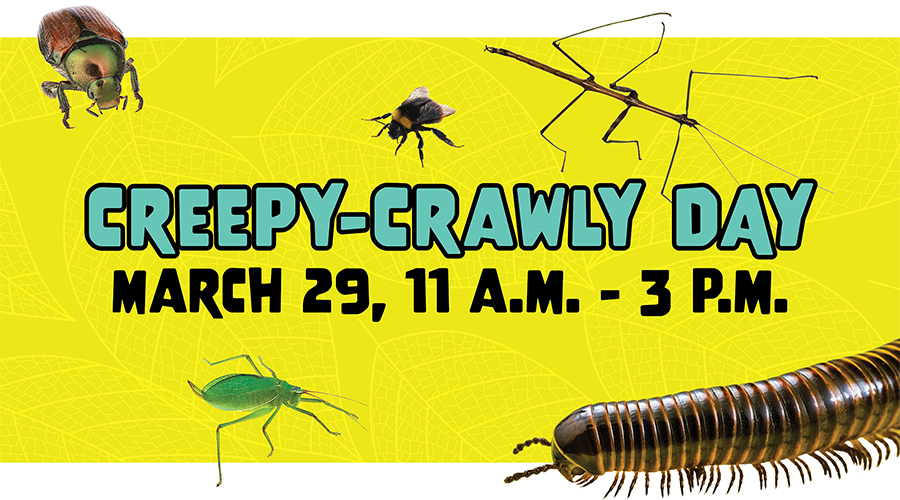 Creepy-Crawly Day