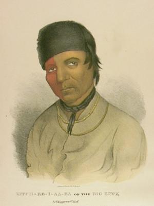 native american portrait