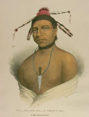 native american portrait