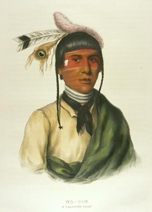 native american portrait