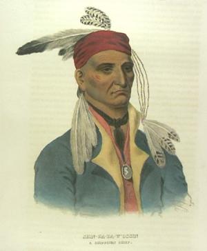 native american portrait