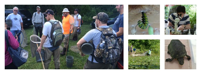 Collage of MPM BioBlitz activities