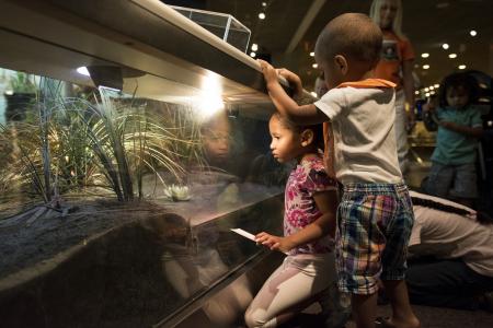 kids looking in exhibit case