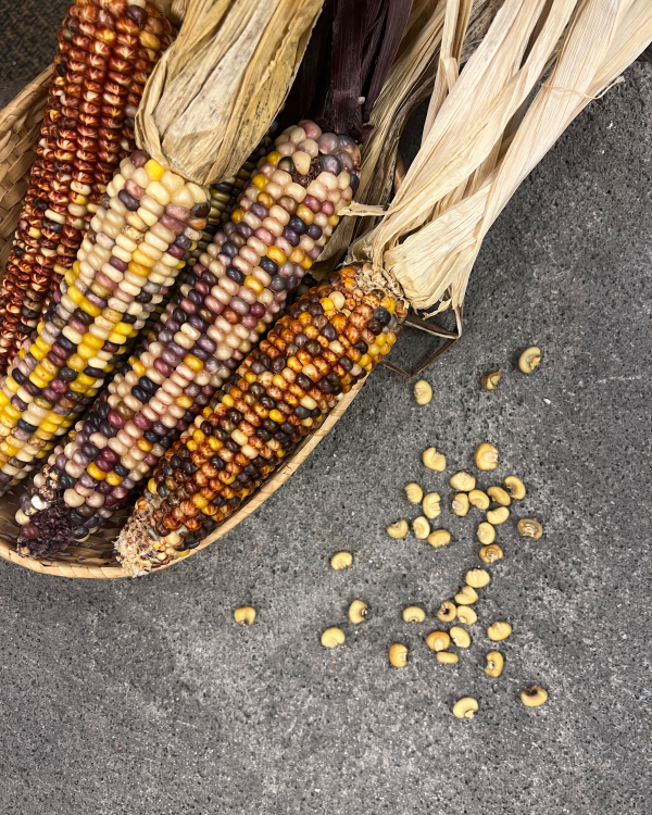 corn