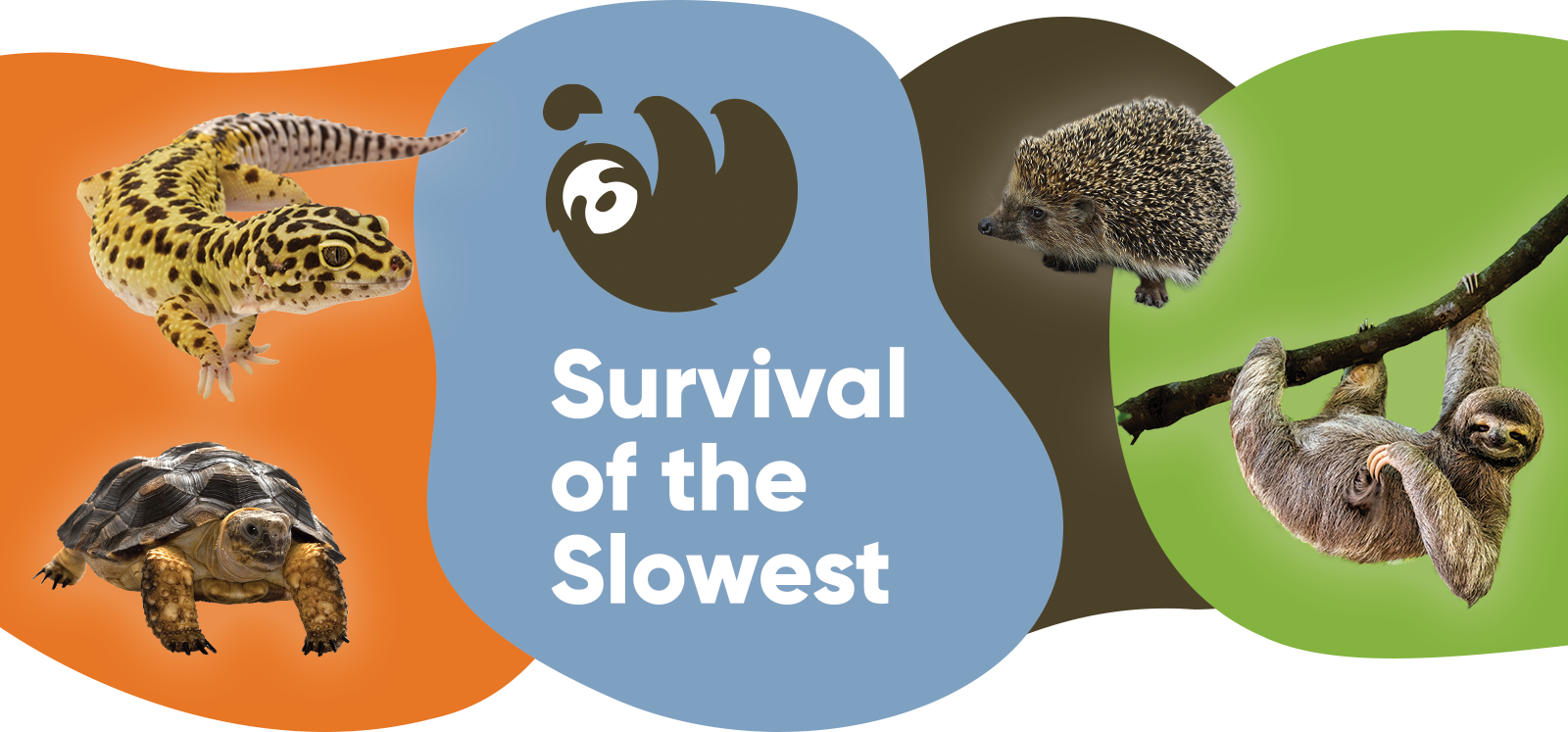 Survival of the Slowest | Milwaukee Public Museum