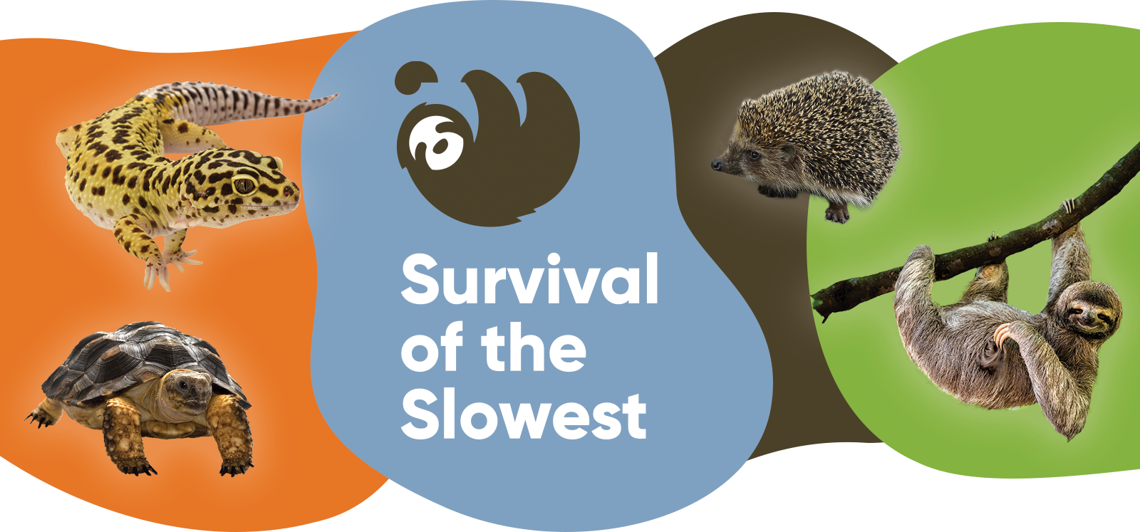 Survival of the Slowest | Milwaukee Public Museum Survival of the Slowest | Milwaukee Public Museum