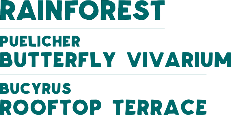 Rainforest and Jack Puelicher Butterfly Vivarium