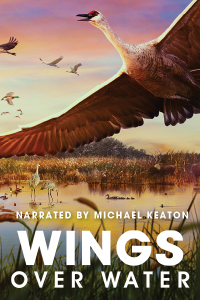 Wings Over Water