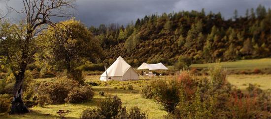 tents