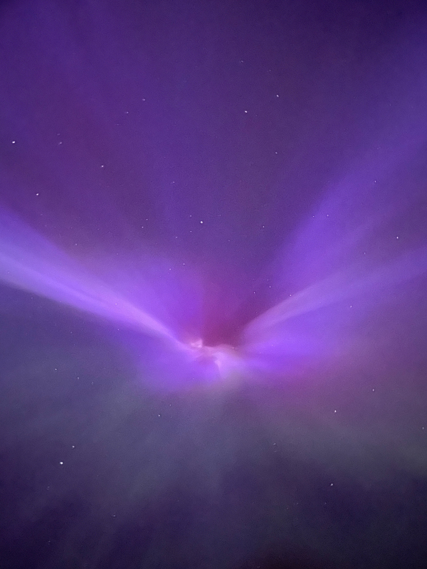 photo of the aurora that looks like an orchid