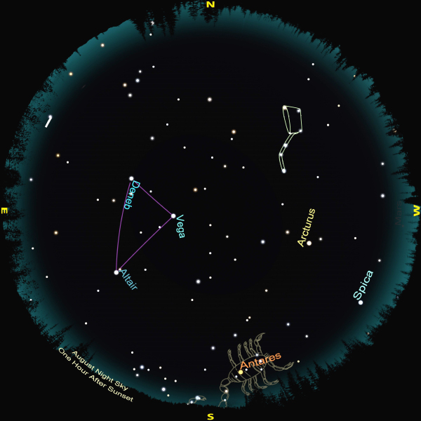 August Night Sky