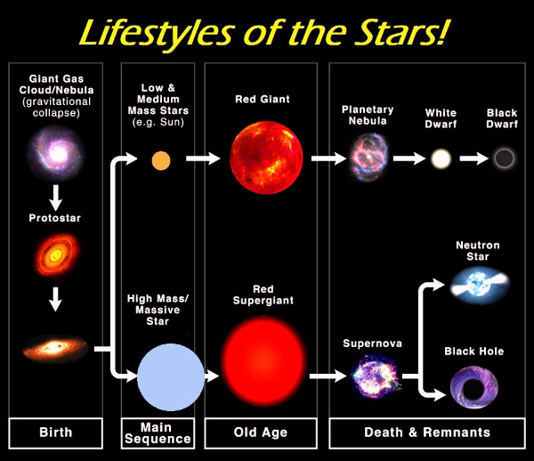 Lifestyles of the Stars!