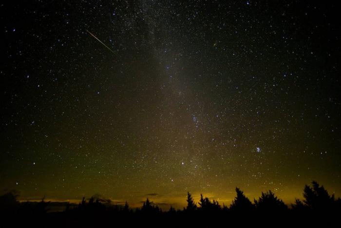 perseids