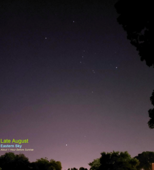 august night sky map