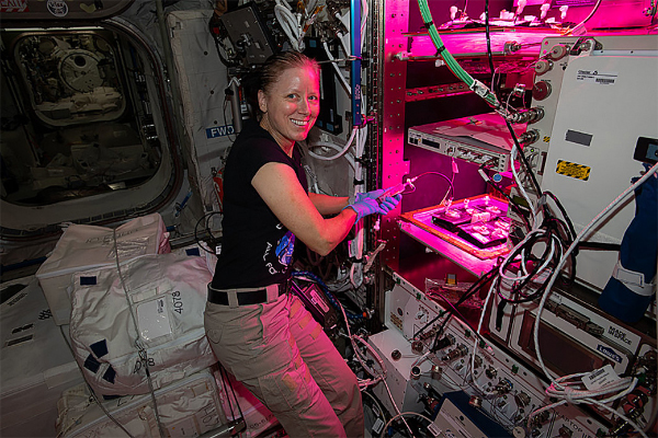 NASA's Shannon Walker