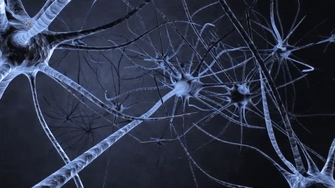animation of neural pathways in the brain lighting up