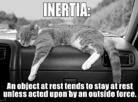 cat inertia meme