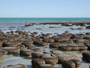 rocks on beach