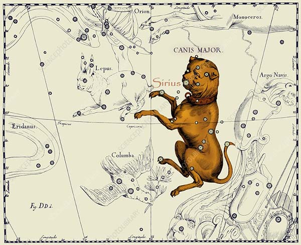 Canis-Major-Ancient-Constellation-600.jpg