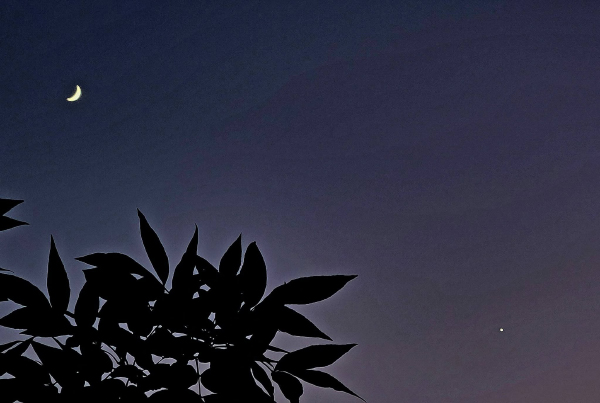 Venus and the moon at night