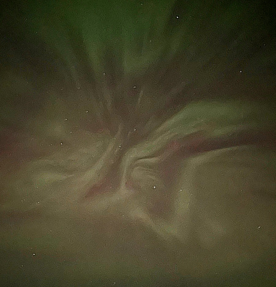 Butterfly Aurora