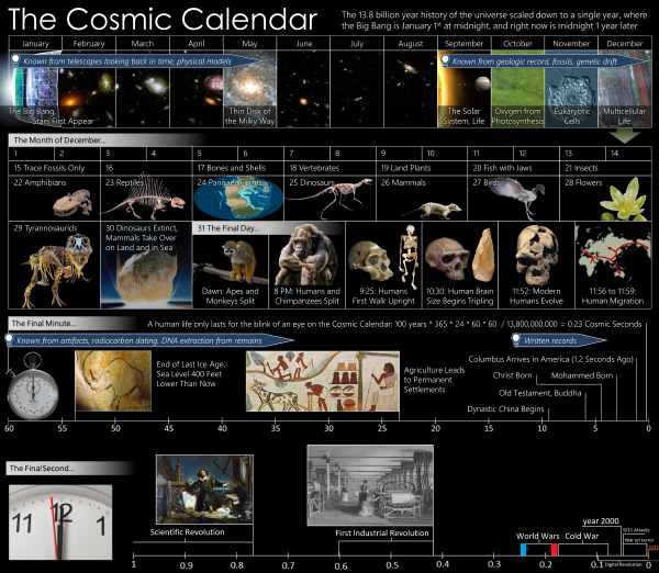 Cosmic Calendar