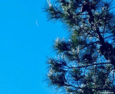 venus and the moon in the daylight