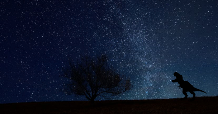 dinosaur and night sky