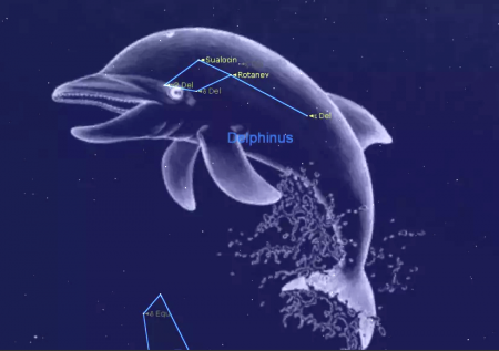 Delphinus constellation