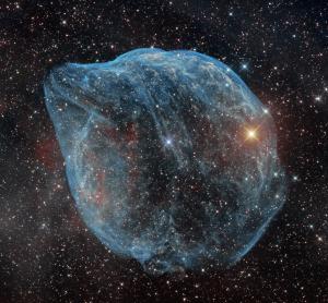 dolphin head nebula