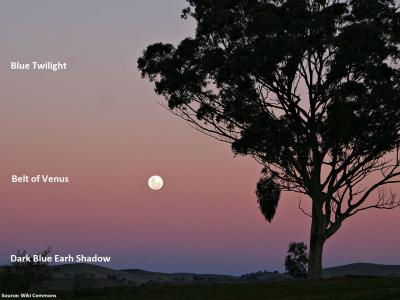 belt of venus twilight