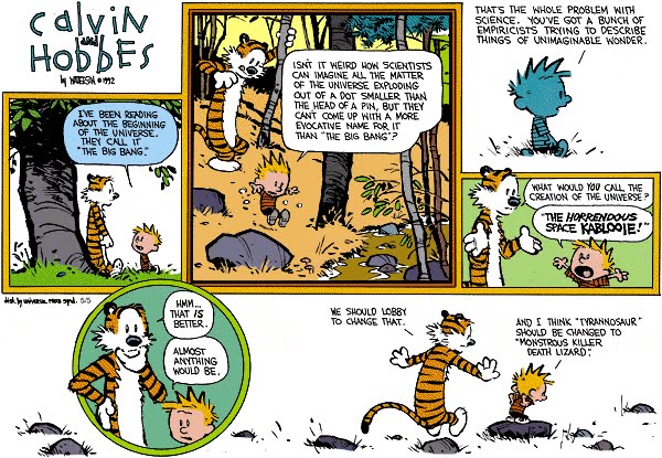 calvin and hobbes cartoon