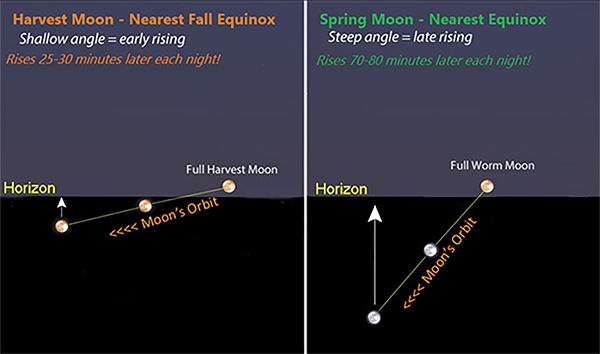Harvest Moons chart