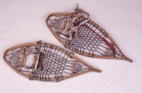 snowshoes