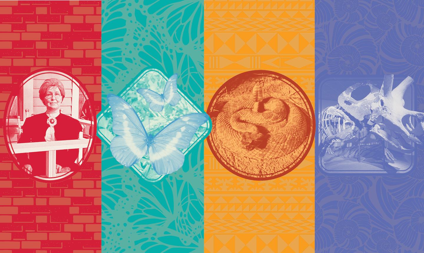 NCMW Campaign Icons